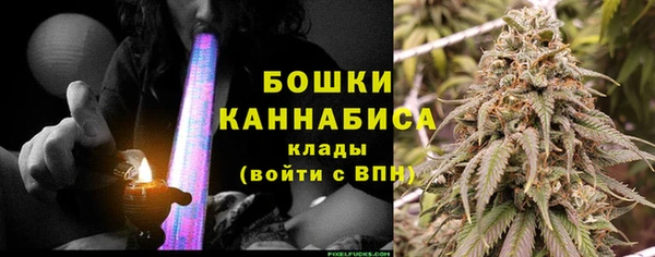 PSILOCYBIN Волосово